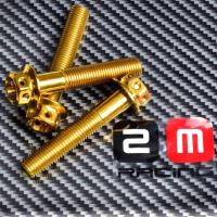 ราคา น็อตสแตนเลส 304 สีทองแบบหัวเจาะ ขนาด M6 เบอร์10 ( ราคาต่อตัว มีทั้งแบบมีบ่าและไม่มีบ่า ) (4640086592)