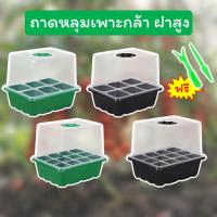 ราคา ถาดหลุมเพาะกล้า ถาดเพาะกล้า ถาดเพาะ แบบฝาสูง มีสีดำ สีเขียว (57811917566)
