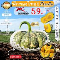 ราคา Oishi-Freshฟักทองไทย ปลอดสารพิษ 1 กก. รสชาติกรอบ สด ใหม่ ใยอาหารสูง หวานออร์แกนิค เคลมได้ 1-2 วัน (27486504323)