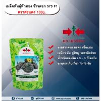 ราคา เมล็ดพันธุ์ฟักทอง ข้าวตอก 573 F1 ตราศรแดง 100g. เมล็ดพันธุ์ เมล็ดพันธุ์ผัก เมล็ดพันธุ์พืช เมล็ดพันธุ์ฟักทอง ลายข้าวตอก (23954705164)