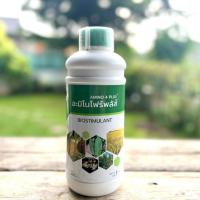 ราคา อะมิโนโฟร์พลัส AMINO 4 PLUS อะมิโนรวม สาหร่ายทะเลสกัด กรดฟลูวิก สารเสริมประสิทธิภาพ สะสมอาหาร เสริมการสังเคราะห์แสง (21184992768)