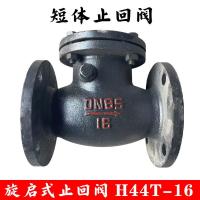 ราคา วาล์ว Check Valve แบบ Swing Type แบบตัววาล์วสั้น (Short Body Swing Check Valve) (53203488589)