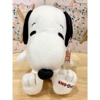 ราคา ตุ๊กตา สนูปปี้ ขนาด 10 นิ้ว ท่านั่ง ลิขสิทธิ์แท้ Snoopy Standard (14837425155)