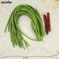 ราคา NICOLOO ผักจําลอง, ถั่วไต 56 ซม. จําลองยาวถั่ว, เหมือนจริง PU ผักปลอมรุ่น Display Prop (50411283711)