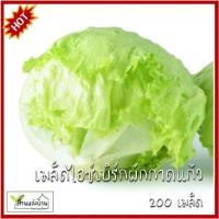 ราคา 200 เมล็ด ไอซ์เบิร์กผักกาดแก้ว เมล็ดไอซ์เบิร์กผักกาดแก้ว ผักสลัดแก้ว เมล็ดผักกาดแก้ว ผักกาดแก้ว (27227092626)