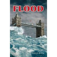 ราคา [BnB] USED Flood by David Orme (มือสอง: ดี) (47211369600)