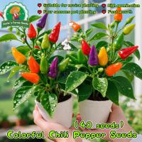 ราคา เมล็ดพริกขี้หนูสวน Multicolor Hot Pepper Seeds Pepper Plant Vegetable Seeds เมล็ดพันธุ์พริกขี้หนูสวน เมล็ดพริกขี้หนู (42273492145)