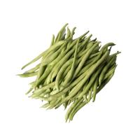 ราคา 10 เมล็ด ถั่วแขกสีเขียว ถั่วแขก ถั่ว Bush Bean Seeds (41122752802)