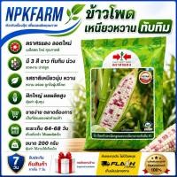 ราคา ศรแดง ข้าวโพด เหนียวหวานทับทิม ขนาด 200 กรัม หมดอายุ 21/2/70 ฝักมี 3 สี ขาว ทับทิม ม่วง อร่อยมาก (27908784725)