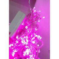 ราคา ไฟกระพริบLED 100 ดวง ความยาว 8 เมตรสีชมพู มีมอก.1955-2551 (14822301067)