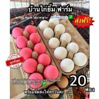 ราคา ไข่เค็ม10ฟอง ไข่เยี่ยวม้า10ฟอง สูตรสมุนไพร ส่งฟรี (53660445861)