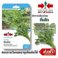 ราคา ผักกาดเขียวน้อย ถิ่นไท #เมล็ดพันธุ์ผักกาดเขียวน้อย #ศรแดง #ผักซอง #ผักสวนครัว #ผักศรแดง ประมาณ 1000 เมล็ด (40976859523)
