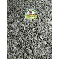 ราคา เมล็ดทานตะวันลาย(คัดพิเศษ)สำหรับเพาะงอก%/ขนาด1กิโล (2957850307)