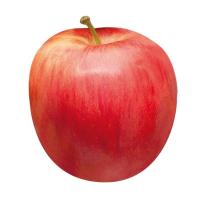 ราคา แอปเปิ้ลกาล่าพรีเมี่ยม Premium Gala Apple [หมายเลขบาร์โค้ด 0219690000003] สินค้าคุณภาพดีคัดสรรเพื่อคุณ (47312751458)