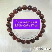 ราคา ไหมนาคจักรพรรดิ์ 8.5 มิล ข้อมือ 17 cm (5040184536)