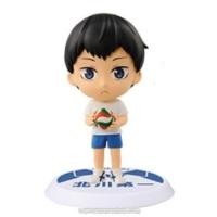 ราคา Haikyuu! Chibi Kyun Chara - Chuugakusei Hen Vol.2 - Kageyama (1841117534)