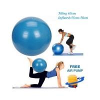 ราคา GYMBALL 65 CM | ลูกบอลบริติฮิ้ง 65ซม | GITNES BALL 65CM | ลูกบอลโยคะ | ยิมบอล (27269697373)