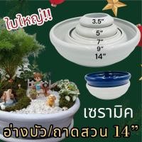 ราคา [14นิ้ว] กระถางต้นไม้ อ่างบัว อ่างเซรามิค เซรามิค อ่างใส่น้ำ กระถาง สวนถาด 1ใบ (19369952359)