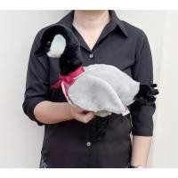 ราคา ตุ๊กตาห่านทีวาย ก้นถ่วง ปี 2001 Ty Loosy The Canadian Goose ขนาด 13 นิ้ว ป้าย Ty (21877001154)