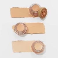 ราคา [Skinfood] PDRN Salmon Dark Circle Concealer 10g 3 สี (54312570969)