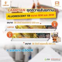 ราคา (ยกกล่องแพ็ค3หลอด)LAMPTAN ชุดหลอดไฟฟลูออเรสเซนต์ถวายสังฆทานจัดชุด แพ็ค3หลอด ขนาด 18w และ 36w แสงขาว (48312322315)