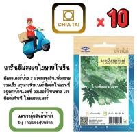 ราคา CTOP x 10 เมล็ดผักซองเจียไต๋ มะระขี้นก ลูกใหญ่ สินค้ายกแพ็ค (56953802233)