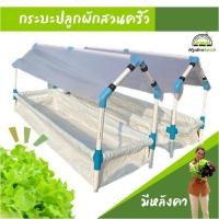 ราคา [กระบะดินสีขาว-มีหลังคา]กระบะปลูกผักสวนครัวสีขาวรุ่นหลังคา ขนาด40×140×20cm (23570670985)