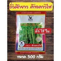 ราคา ถั่วฝักยาว ค้างคาวไฟ ขนาด 500 กรัม ถั่วเนื้อ เมล็ดขาว ติดดก ฝักคู่ ฝักยาว ฝักสีเขียวอ่อน ไม่่บ้าใบ เมล็ดพันธุ์คุณภาพ (57361841491)