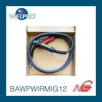ราคา อุปกรณ์ WELPRO สายเชื่อมมิก 250Y 3m. BAWPWIRMIG12 (10056586316)