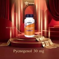 ราคา Now Foods Pycnogenol Pine bark 30 mg l พิคโนจีนอล สารสกัดจากเปลือกสนฝรั่งเศส,60 Capsules (44802935946)