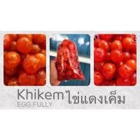 ราคา ไข่แดงเค็มสงขลาฟองใหญ่ (6124471142)