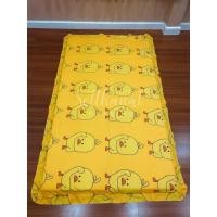 ราคา ปลอกที่นอนปิคนิค ขนาด 5 ฟุต มีซิป ผ้า Cotton เนื้อดี นุ่ม (เฉพาะปลอก) Set 2 (12275622628)