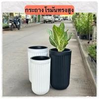 ราคา ‼️ถูก ส่งเร็วทันใจ‼️ กระถางโรมันทรงสูง กระถางพลาสติกทรงสูง (29532776082)