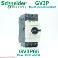 ราคา GV3P65 Schneider Electric GV3P65 GV3P Motor Circuit Breakers (27389285641)