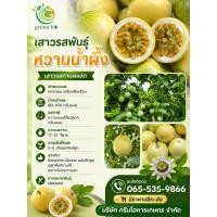 ราคา ต้นพันธุ์เสาวรสหวานน้ำผึ้ง เสาวรสน้ำผึ้ง จำนวน 5 ต้น (ต้นเสียบยอด ปลอดโรค) รับประกันตรงตามสายพันธุ์ ไม่กลายพันธุ์ (19590400325)