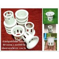 ราคา ถ้วยปลูกผักไฮโดร โปนิกส์ สีขาวเกรด A แบบใช้ซ้ำได้ เลือกจำนวนได้ 25-100 ใบ (7047890390)