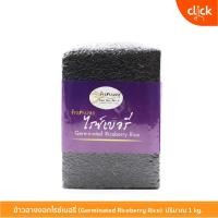 ราคา ข้าวฮางงอกงอกไรซ์เบอรี่ ออร์แกนิคแท้ สินค้ามี อย. และผลิตโดยโรงงานที่ได้มาตรฐาน ข้าวใหม่เก็บได้นาน น้ำหนัก 1 กิโลกรัม (5528984440)