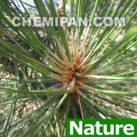 ราคา [CHEMIPAN] น้ำมันหอมระเหย ซีดาร์วูด (Cedarwood Es. Oil) 100g. (1874094746)