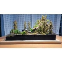 ราคา Diorama ฉากฐานวางโมเดลสไตล์ป่าสน (28809620763)