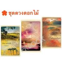 ราคา หนังสือ ชุดดวงดอกไม้ : ธาดากุสุมา (ISBN:9786160002962)