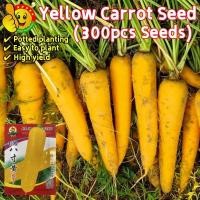 ราคา 300เมล็ด เมล็ดพันธุ์ แครอท สีเหลือง Sweet Yellow Carrot Seeds Vegetable Seeds เมล็ดพันธุ์ แครอท เมล็ดผักต่างๆ Plants (56610137164)