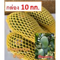 ราคา [ขนาดขายดี!!] มะม่วงเขียวมรกต [ทองดำ] หอม กรอบ อมเปรี้ยว จัดกล่องละ 10 กก. ❌ส่งถูกไม่ง้อโค้ดลด❌<<รายละเอียดด้านใน (8573964193)