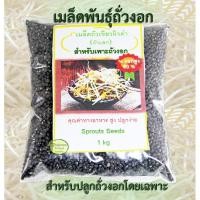 ราคา เมล็ดถั่วงอก ถั่วเขียวผิวดำ ถั่วแขก สำหรับปลูกถั่วงอกโดยเฉพาะ black mung Bean Sprouts seeds (5655690519)