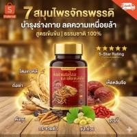 ราคา ถั่งเช่า(7in1) ผสมโสม เห็ดหลินจือ กระชายดำ ตังกุย ฟื้นฟูร่างกาย หลับลึก ตื่นสบาย คลายปวดเมื่อย halal (29544125689)