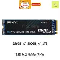 ราคา SSD M.2 256GB / 500GB / 1TB GEN3 NVMe PNY (PNY SSD CS1031 NVMe 3x4) ประกัน 5 ปี (21138094446)