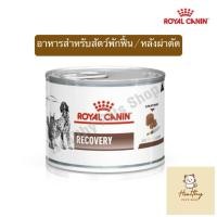 ราคา Royal Canin Recovery อาหารสำหรับสัตว์ป่วย พักฟื้น หลังผ่าตัด exp 4/27 (28791541558)