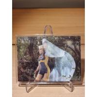 ราคา Final Fantasy Art Museum Trading Card P-021 Premium Edition Penelo (12 / XII) (55603848723)