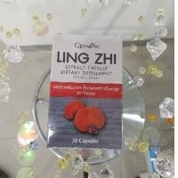 ราคา Ling Zhi Extract CapsuleDietary Supplement (27759200166)