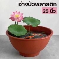 ราคา อ่างบัว อ่างเลี้ยงปลา อ่างขนาดใหญ่ 25 นิ้ว อ่างบัวพลาสติก (54607370622)