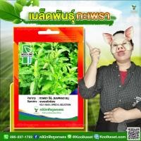 ราคา พันธุ์ผัก กะเพรา SL ซีดไลน์ แตกแขนงดี ใบใหญ่ สีเขียวสด ให้ผลผลิตสูง 6 ซอง คูลเกษตร KV01 (53103774004)